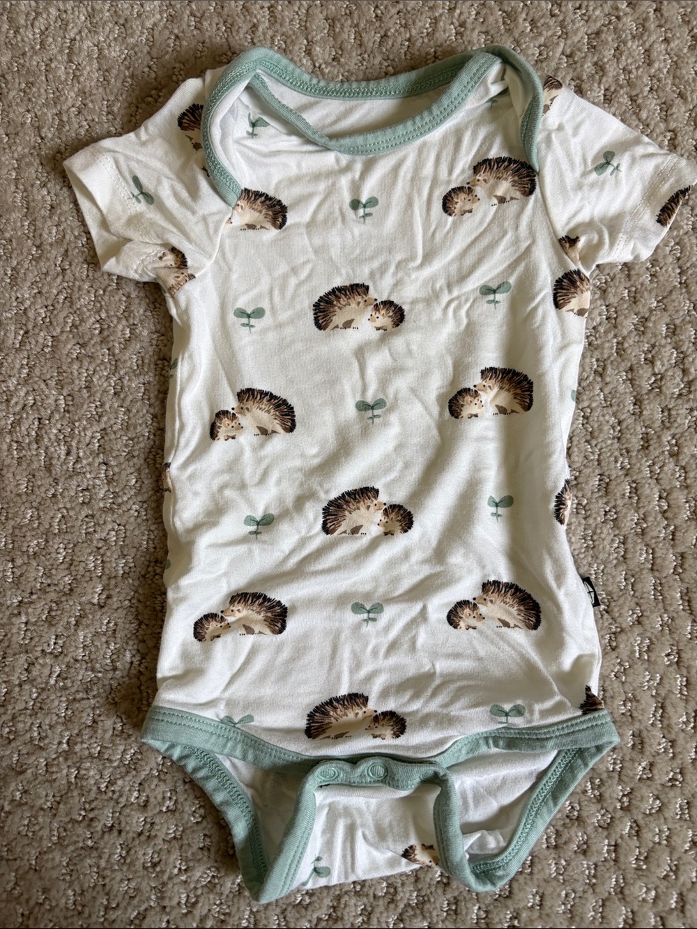 Kyte BABY White Bodysuit with Hedgehog Print and Mint Trim